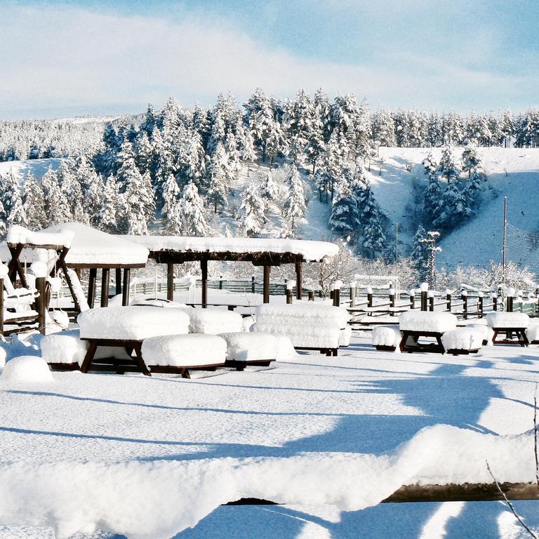 Hotel Orbel Dobrinishte Εξωτερικό φωτογραφία