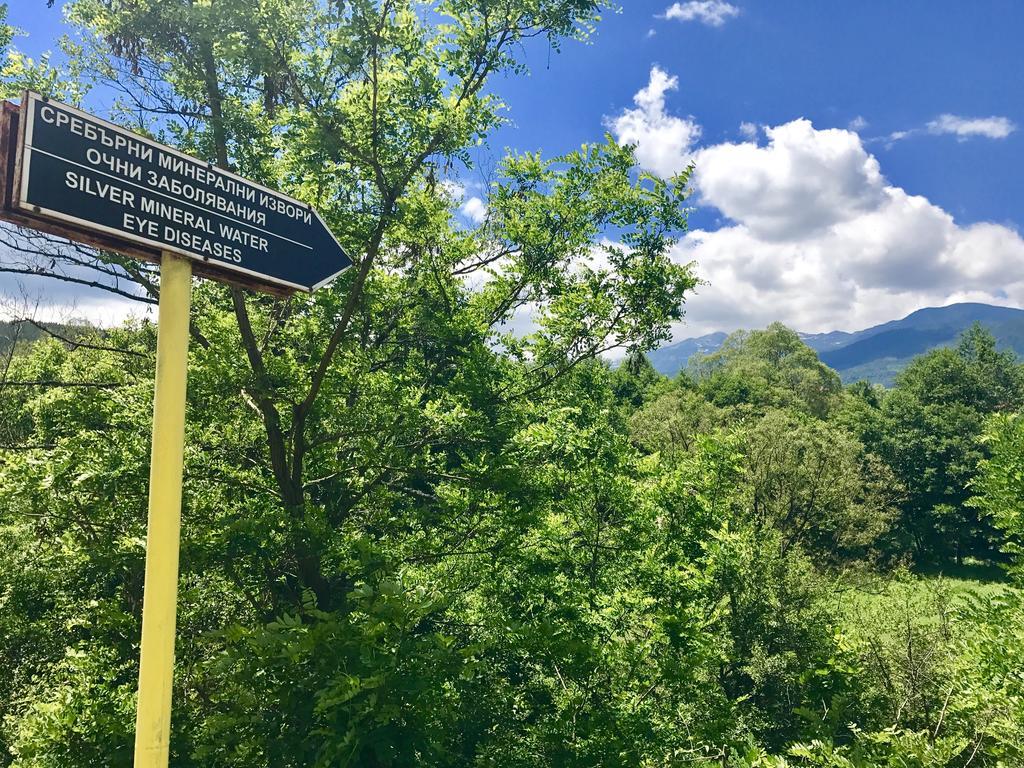 Hotel Orbel Dobrinishte Εξωτερικό φωτογραφία